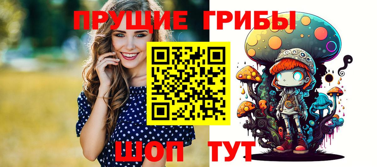 Псилоцибиновые грибы Psilocybe Великие Луки